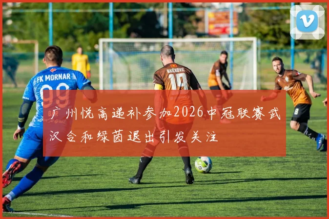 广州悦高递补参加2026中冠联赛武汉合和绿茵退出引发关注