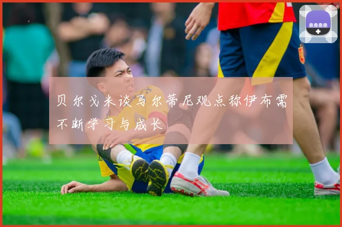 贝尔戈米谈马尔蒂尼观点称伊布需不断学习与成长